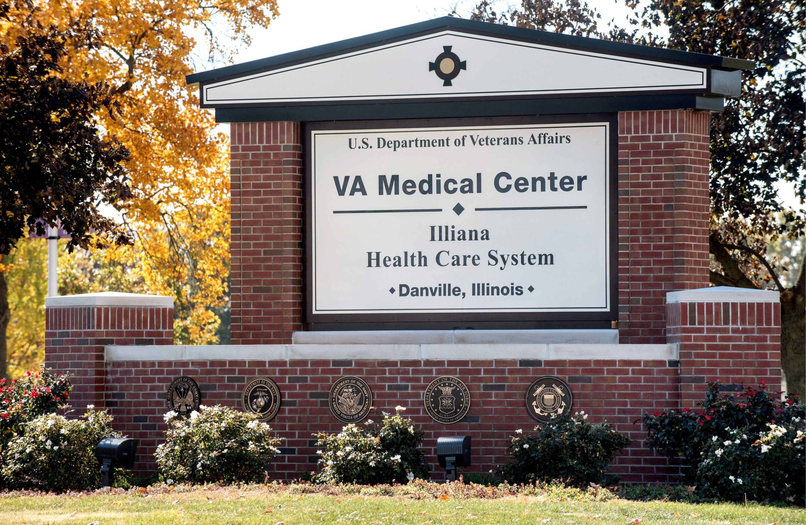 VA Logo