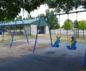 Ambucs Swing Set